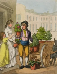 Cries of London: The Garden Pot Seller, 1799 (färgakvatint)